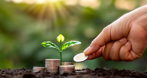 Planejamento Financeiro