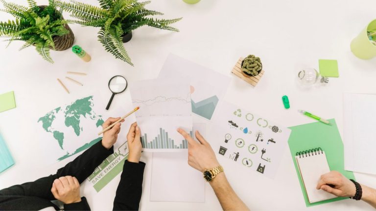 contabilidade e sustentabilidade